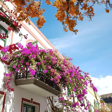Diana With Private Swimming Pool In Tauro Mogán